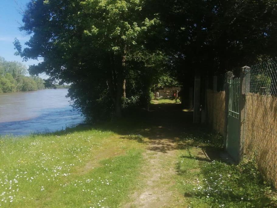 Maison " Bouton D'Or" Au Bord De L'Eau, A 10 Mn De Tours , Meuble Classe Une Etoile Saint-Avertin Eksteriør billede